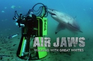 Air Jaws: Walking with Great Whites