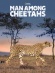 Man Among Cheetahs