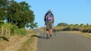 Camino, een feature-length selfie