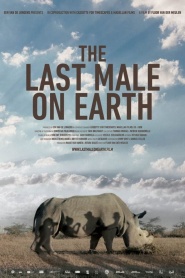 Last Male Standing