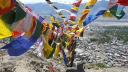 Mother of Tibetans