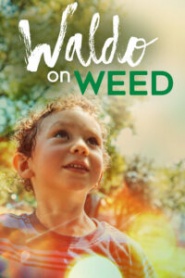 Waldo on Weed