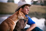 Dingo: Wild Dog at War