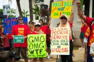 Poisoning Paradise