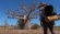 Surviving the Outback