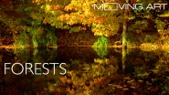 Moving Art: Forests