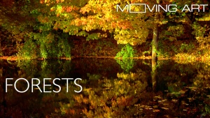 Moving Art: Forests