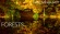Moving Art: Forests