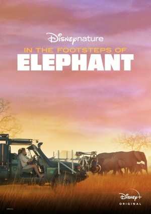In the Footsteps of Elephant