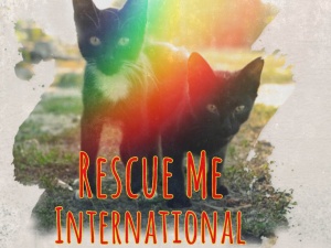Rescue Me: International