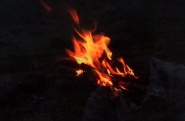 Spark
