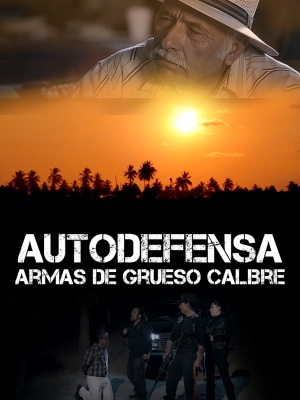 Autodefensa: Armas de Grueso Calibre