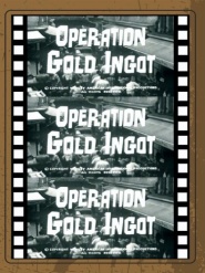 Operation Gold Ingot