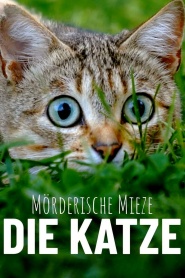The Cat, a Cuddly Killer