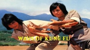 Juan xing quan fa yu fa