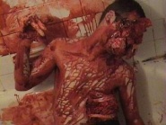 The Aborted