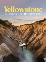 Yellowstone: America's First National Park
