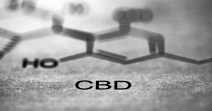 CBD Nation