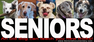 Seniors, a dogumentary