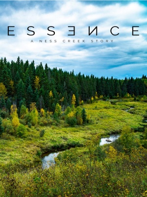 Essence: A Ness Creek Story
