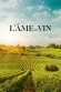 L'âme du vin