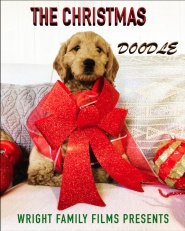 The Christmas Doodle