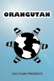 Orangutan