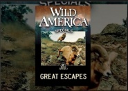 Great Escapes