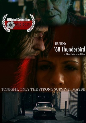 Burn: 68 Thunderbird