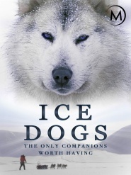 Ice Dogs: The Only Companions Worth Having