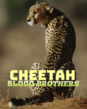 Cheetah Blood Brothers
