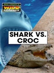 Shark v Crocodile
