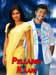 Pellaindi Kaani