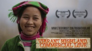 Vibrant Highland, Commercial Love