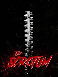 The Scrotum