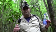 Bigfoot: Still Tracking a Legend