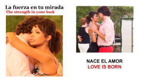 Singing to Love - Cantando al Amor