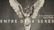 Entre deux sexes