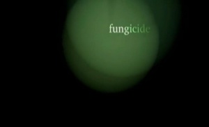 Fungicide