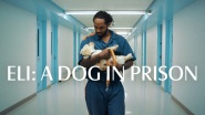 Eli, a Dog in Prison