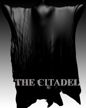 The Citadel