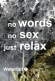 Waterfall 1: No Words, No Sex, Just Relax