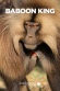 King of the Mountain Baboons