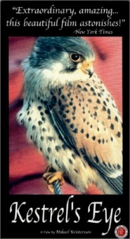 Kestrel's Eye