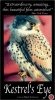 Kestrel's Eye
