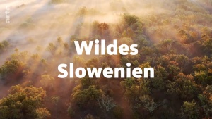 Wild Slovenia