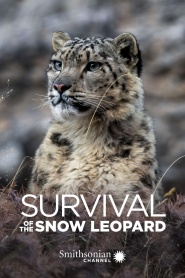 Survival Of The Snow Leopard
