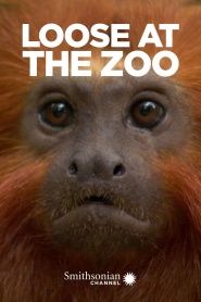 Loose at the Zoo
