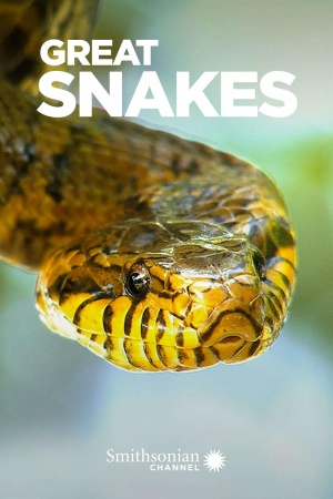 Great Snakes!