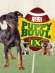 Puppy Bowl IX